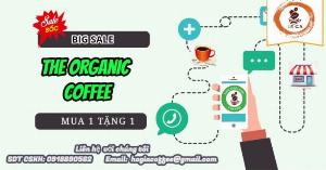 Cà phê nguyên chất rang mộc e Organic coffee