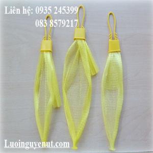 Lưới Trái Cây 1Kg 2Kg Đựng Bưởi