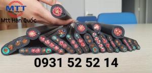 Cáp dẹt cầu trục các loại