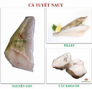 Cá Tuyết Nauy - New Fresh Foods