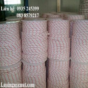 Dây Cường Lực Lăn Sơn Nguyễn Út