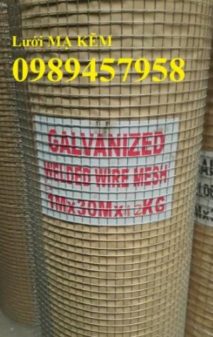 Lưới thép dây 1ly ô 10x10, 20x20, Lưới hàn bọc nhựa, Lưới hàn mạ kẽm, Lưới chống nứt