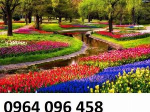 Tranh gạch trang trí phong bếp 3d - SHG4