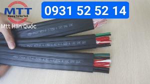 Cáp dẹt cầu trục 10sqx4c+1.5sqx10c dae duk hàn quốc