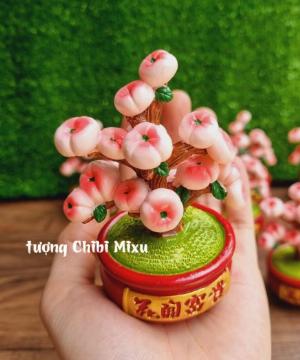 Chậu đào trường thọ 10cm
