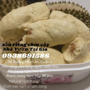Địa chỉ mua sầu riêng chín cây TPHCM
SDt: 093 869 1586 ( Bùi Tình bán nhé )