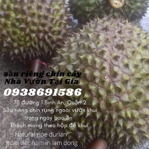 Địa chỉ mua sầu riêng chín cây TPHCM
SDt: 093 869 1586 ( Bùi Tình bán nhé )