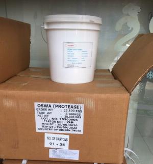 Vi sinh OSWA xử lý phân tôm cho ao hồ nuôi tôm cá TỈ LỆ DÙNG ÍT HIỆU QUẢ CAO