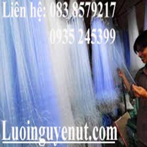 Lưới Giăng Cá Lòng Tong Mùa Dịch