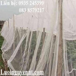Lưới Vèo Nuôi Cá Và Ốc Mùa Dịch