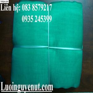 Lưới Vèo Nuôi Cá Và Ốc Mùa Dịch