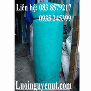 Lưới Vèo Nuôi Cá Và Ốc Mùa Dịch