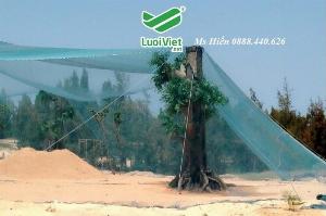 Lưới quây vườn chim