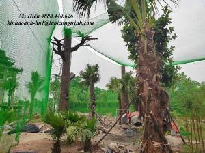 Lưới quây vườn chim