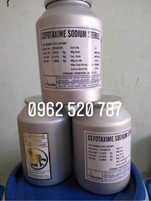 Cefotaxime nguyên liệu Ấn Độ lon 1kg dùng trong Thuỷ sản