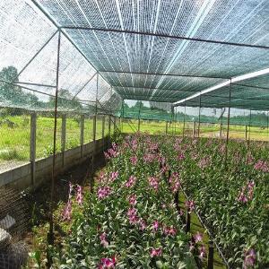 Lưới Che Nắng Giao Hàng Tận Nơi Mùa Dịch