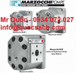 Nhà phân phối bơm thủy lực và động cơ giảm tốc Marzocchi