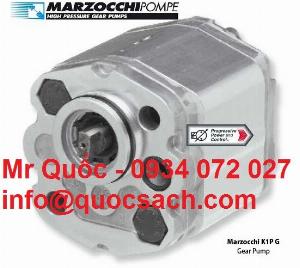 Nhà phân phối bơm thủy lực và động cơ giảm tốc Marzocchi