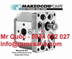 Nhà phân phối bơm thủy lực và động cơ giảm tốc Marzocchi
