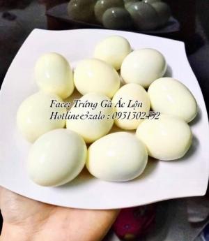 Trứng gà lạc