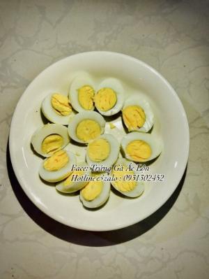 Trứng gà lạc