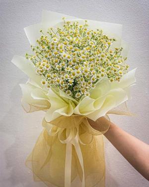 Bó hoa cúc tana xinh xắn - LDNK105