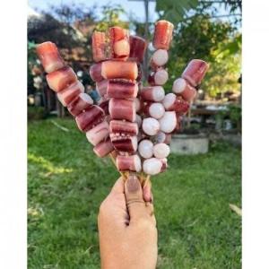 Râu bạch tuộc khổng lồ
