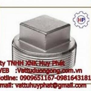 Nút Bịt Ren Ngoài Áp Lực DN50 ( phi 60) A105 #3000