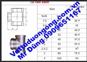 Tê Ren Kẽm DN80 ( Phi 90)