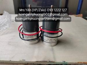 Permanent magnet DC motor 24V | WS-38ZYT64-R | Weisheng | Công Ty Hoàng Anh Phương