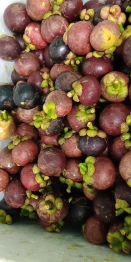 Sầu riêng tách múi 200k/kg