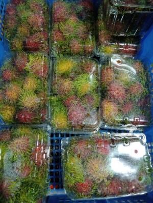 Sầu riêng tách múi 200k/kg