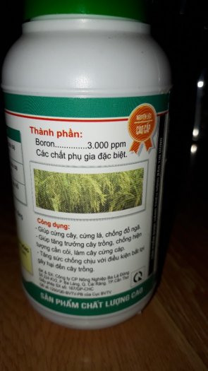 Trụ thép cải tiến , lúa cứng như thép