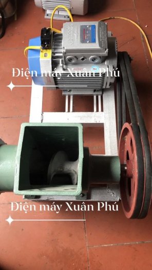 Máy xay gà nguyên con