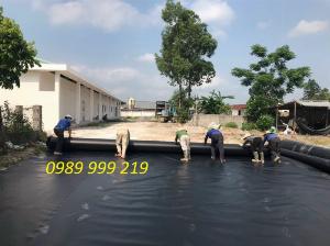 Bạt hdpe 2mm cuộn 200m2 khổ 4x50m chống thấm hầm biogas