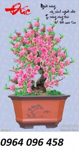 Tranh 3d hoa đào - tranh gạch 3d hoa đào - SCX32