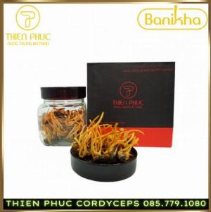 Đông Trùng Hạ Thảo Thiên Phúc Nguyên Con Tươi 100g (120 con)