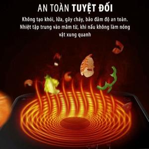 Bếp từ đơn chính hãng SATO BT061