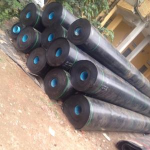 Cuộn bạt hdpe lót bể nước,hồ cá koi 0.3mm 0.5mm 0.75mm