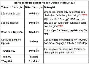 Bàn Bóng Bàn chính hãng Double Fish DF233