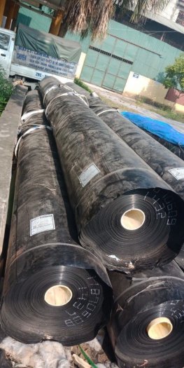 Bạt hdpe dày 0.75mm dùng cho lót nhà xưởng khổ 5x50m cuộn 250m2