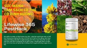 PestHack - Đào thải ký sinh trùng và tẩy giun sán an toàn