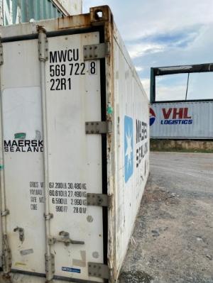 Thực phẩm đông lạnh bằng container mùa dịch