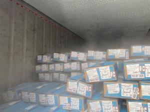 Container lạnh 40feet trữ sầu riêng