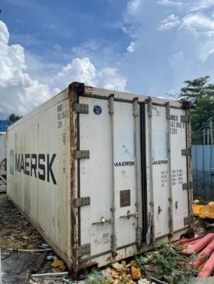 Container lạnh bảo quản sầu riêng đông lạnh