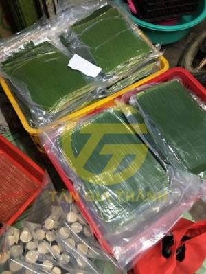 Cung cấp lá chuối đông lạnh xuất khẩu