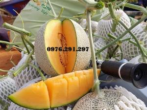 Khúc xạ kế đo ngọt và độ cồn của trái cây