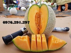 Khúc xạ kế đo ngọt và độ cồn của trái cây
