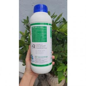 IMMEGA_Tăng trọng nhanh, loại bỏ hiện tượng ốp thân, chậm lớn