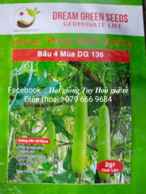 Hạt giống rau củ quả các loại